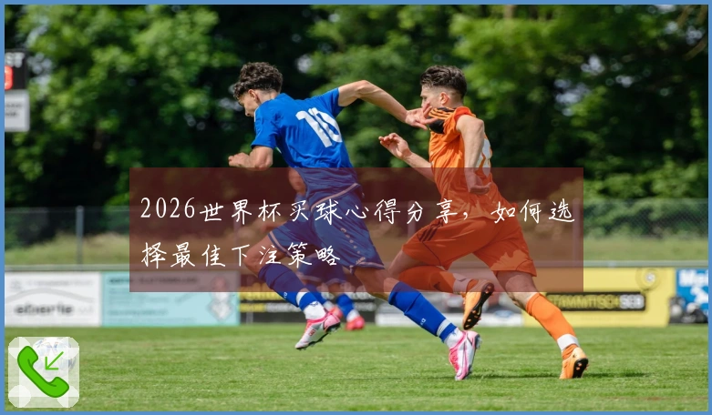 2026世界杯买球心得分享，如何选择最佳下注策略