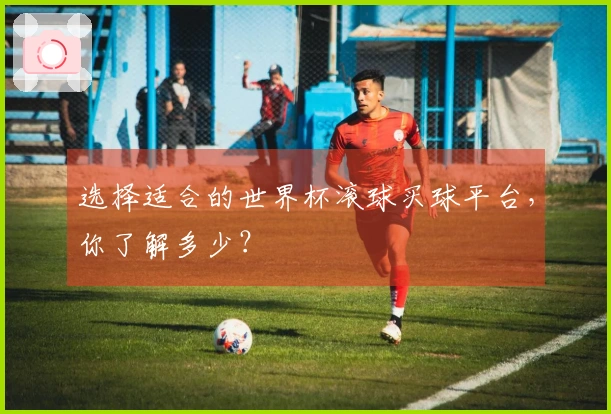 选择适合的世界杯滚球买球平台，你了解多少？
