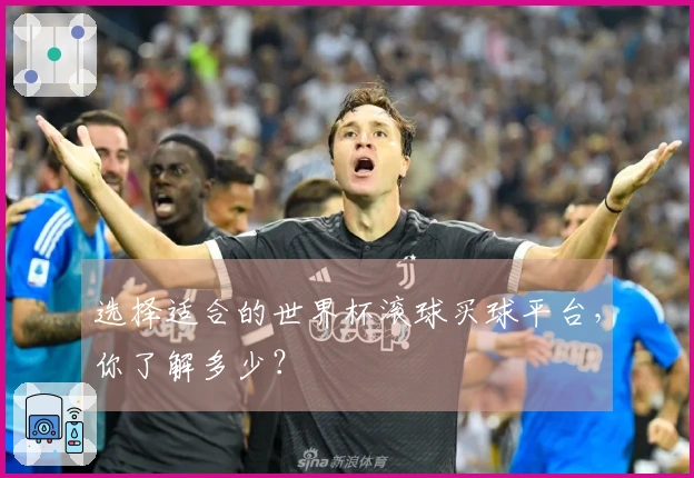 选择适合的世界杯滚球买球平台，你了解多少？
