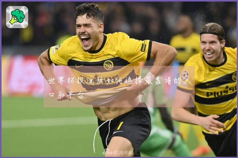 世界杯投注该如何选择最靠谱的入口和平台