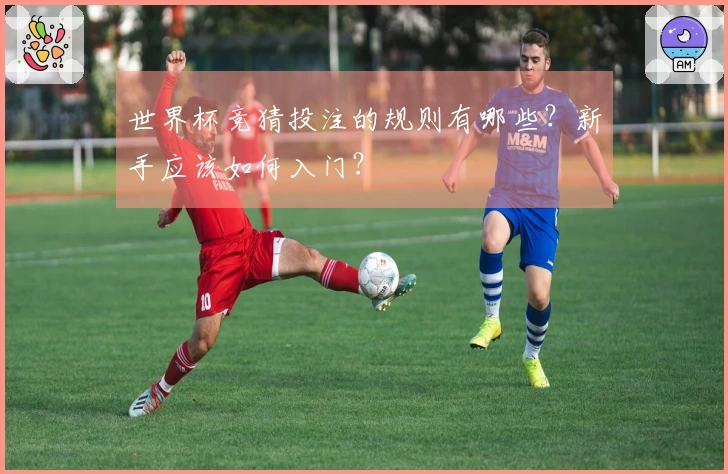 世界杯竞猜投注的规则有哪些？新手应该如何入门？
