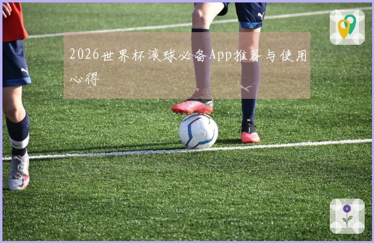 2026世界杯滚球必备App推荐与使用心得